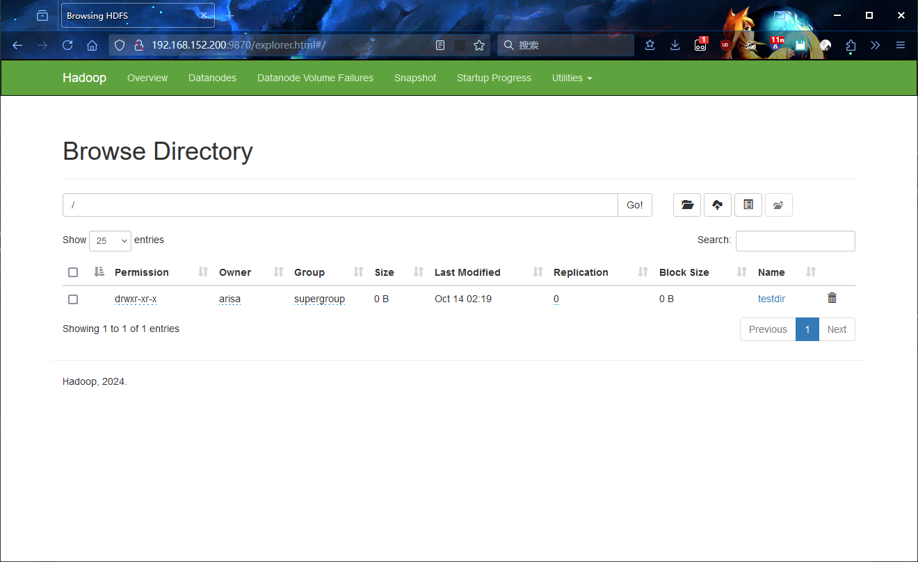 hadoop_startup_2
